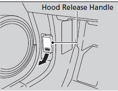 1. Park the vehicle on a level surface, and set