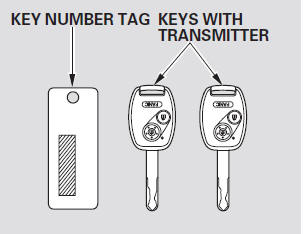 Your vehicle comes with the two ignition keys.