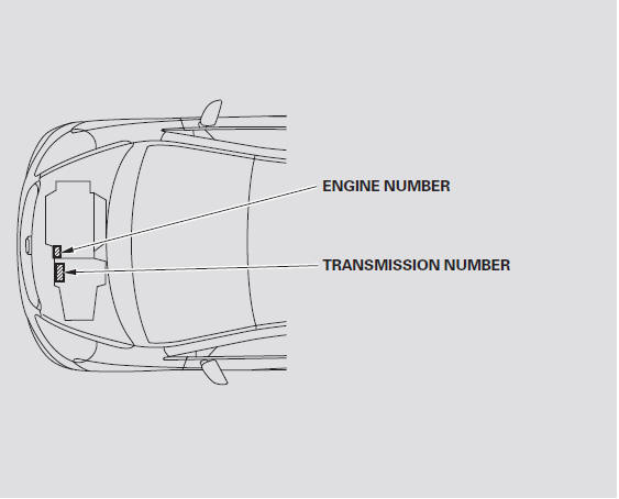 Specifications