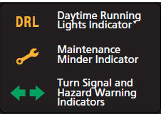 System Indicators