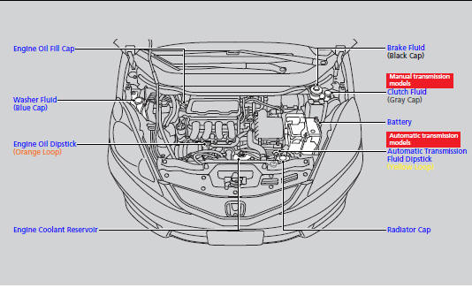 Opening the Hood