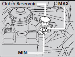 The fluid level should be between the MIN