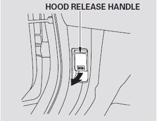 1. Park the vehicle, and set the parking brake. Pull the hood release handle