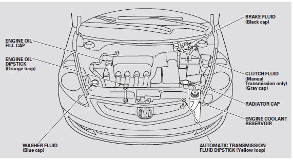 Adding Engine Oil