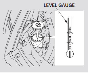 Check the fluid level by removing the cap and looking at the level gauge