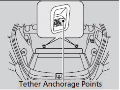 Two tether anchorage points are provided